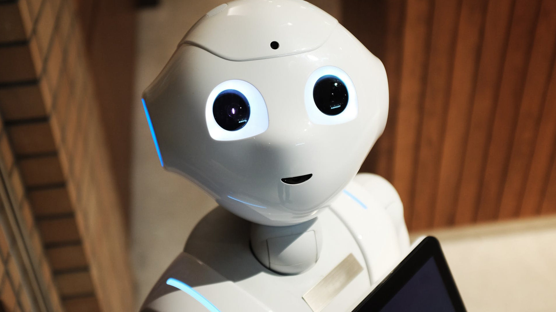 Robot